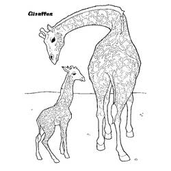 Página para colorir: Girafa (animais) #7413 - Páginas para Colorir Imprimíveis Gratuitamente
