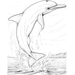 Página para colorir: Golfinho (animais) #5100 - Páginas para Colorir Imprimíveis Gratuitamente
