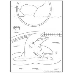 Página para colorir: Golfinho (animais) #5122 - Páginas para Colorir Imprimíveis Gratuitamente