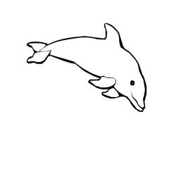 Página para colorir: Golfinho (animais) #5161 - Páginas para Colorir Imprimíveis Gratuitamente