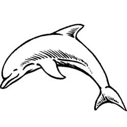 Página para colorir: Golfinho (animais) #5165 - Páginas para Colorir Imprimíveis Gratuitamente