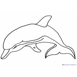 Página para colorir: Golfinho (animais) #5186 - Páginas para Colorir Imprimíveis Gratuitamente