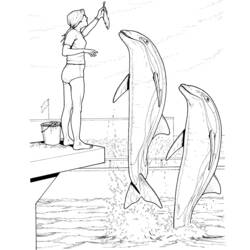 Página para colorir: Golfinho (animais) #5191 - Páginas para Colorir Imprimíveis Gratuitamente