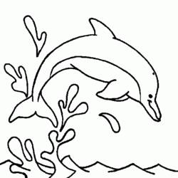 Página para colorir: Golfinho (animais) #5212 - Páginas para Colorir Imprimíveis Gratuitamente