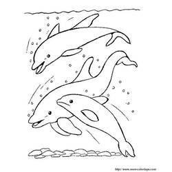 Página para colorir: Golfinho (animais) #5251 - Páginas para Colorir Imprimíveis Gratuitamente