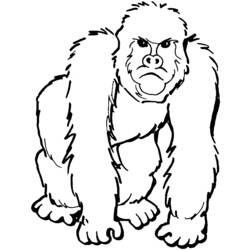 Página para colorir: Gorila (animais) #7419 - Páginas para Colorir Imprimíveis Gratuitamente