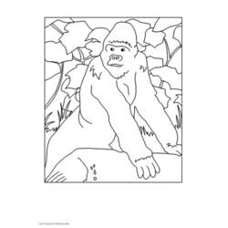 Página para colorir: Gorila (animais) #7451 - Páginas para Colorir Imprimíveis Gratuitamente