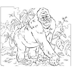 Página para colorir: Gorila (animais) #7455 - Páginas para Colorir Imprimíveis Gratuitamente