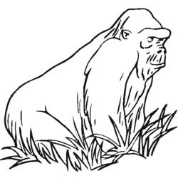 Página para colorir: Gorila (animais) #7459 - Páginas para Colorir Imprimíveis Gratuitamente