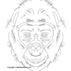 Página para colorir: Gorila (animais) #7463 - Páginas para Colorir Imprimíveis Gratuitamente