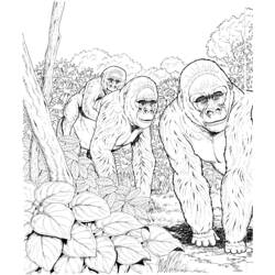 Página para colorir: Gorila (animais) #7464 - Páginas para Colorir Imprimíveis Gratuitamente