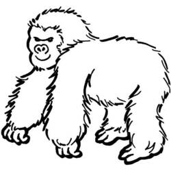 Página para colorir: Gorila (animais) #7475 - Páginas para Colorir Imprimíveis Gratuitamente