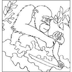 Página para colorir: Gorila (animais) #7498 - Páginas para Colorir Imprimíveis Gratuitamente