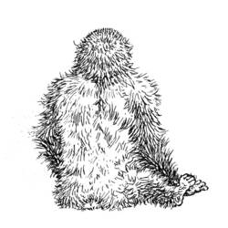 Página para colorir: Gorila (animais) #7507 - Páginas para Colorir Imprimíveis Gratuitamente