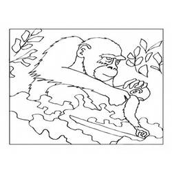 Página para colorir: Gorila (animais) #7512 - Páginas para Colorir Imprimíveis Gratuitamente