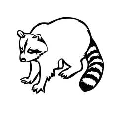 Página para colorir: Guaxinim (Animais) #208492 - Páginas para Colorir Imprimíveis Gratuitamente