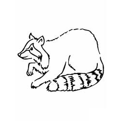 Página para colorir: Guaxinim (Animais) #208493 - Páginas para Colorir Imprimíveis Gratuitamente