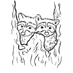 Página para colorir: Guaxinim (Animais) #208494 - Páginas para Colorir Imprimíveis Gratuitamente