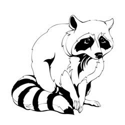 Página para colorir: Guaxinim (Animais) #208498 - Páginas para Colorir Imprimíveis Gratuitamente