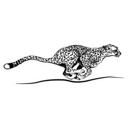 Página para colorir: guepardo (animais) #7879 - Páginas para Colorir Imprimíveis Gratuitamente