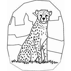 Página para colorir: guepardo (animais) #7882 - Páginas para Colorir Imprimíveis Gratuitamente