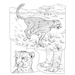 Página para colorir: guepardo (animais) #7886 - Páginas para Colorir Imprimíveis Gratuitamente