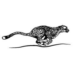 Página para colorir: guepardo (animais) #7890 - Páginas para Colorir Imprimíveis Gratuitamente
