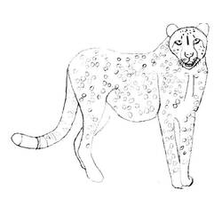 Página para colorir: guepardo (animais) #7898 - Páginas para Colorir Imprimíveis Gratuitamente