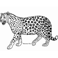 Desenhos para colorir: guepardo - Páginas para Colorir Imprimíveis Gratuitamente