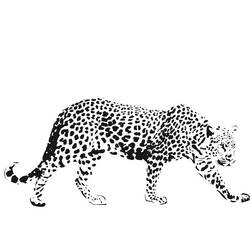Página para colorir: guepardo (animais) #7901 - Páginas para Colorir Imprimíveis Gratuitamente