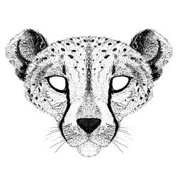 Página para colorir: guepardo (animais) #7922 - Páginas para Colorir Imprimíveis Gratuitamente