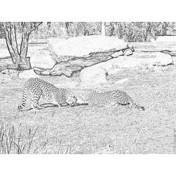 Página para colorir: guepardo (animais) #7943 - Páginas para Colorir Imprimíveis Gratuitamente