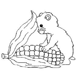 Página para colorir: hamster (animais) #8021 - Páginas para Colorir Imprimíveis Gratuitamente