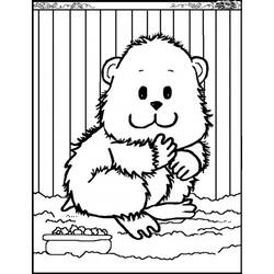 Página para colorir: hamster (animais) #8059 - Páginas para Colorir Imprimíveis Gratuitamente