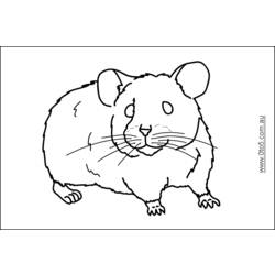 Página para colorir: hamster (animais) #8103 - Páginas para Colorir Imprimíveis Gratuitamente