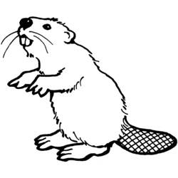 Página para colorir: hamster (animais) #8112 - Páginas para Colorir Imprimíveis Gratuitamente
