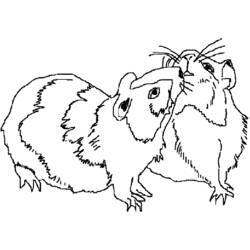 Página para colorir: hamster (animais) #8127 - Páginas para Colorir Imprimíveis Gratuitamente