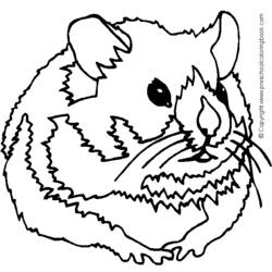 Página para colorir: hamster (animais) #8139 - Páginas para Colorir Imprimíveis Gratuitamente
