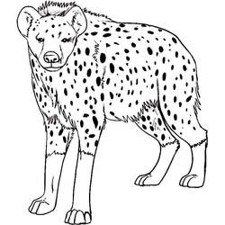 Desenho Hiena (Animais) #186929 para imprimir e colorir