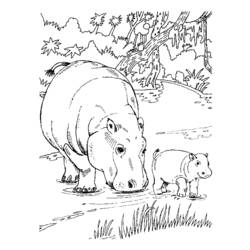 Página para colorir: hipopótamo (animais) #8611 - Páginas para Colorir Imprimíveis Gratuitamente