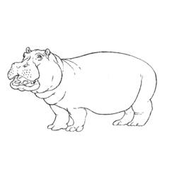 Página para colorir: hipopótamo (animais) #8614 - Páginas para Colorir Imprimíveis Gratuitamente
