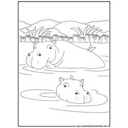 Página para colorir: hipopótamo (animais) #8633 - Páginas para Colorir Imprimíveis Gratuitamente