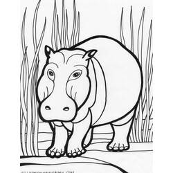 Página para colorir: hipopótamo (animais) #8643 - Páginas para Colorir Imprimíveis Gratuitamente