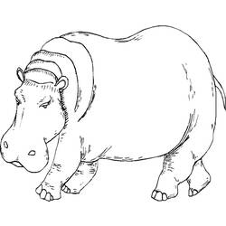 Página para colorir: hipopótamo (animais) #8665 - Páginas para Colorir Imprimíveis Gratuitamente