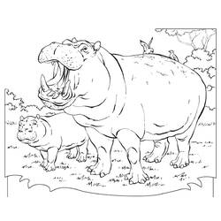 Página para colorir: hipopótamo (animais) #8690 - Páginas para Colorir Imprimíveis Gratuitamente