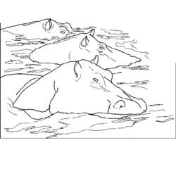 Página para colorir: hipopótamo (animais) #8727 - Páginas para Colorir Imprimíveis Gratuitamente