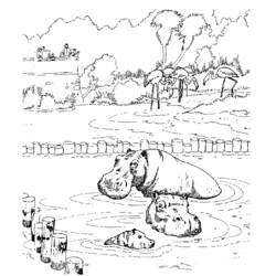 Página para colorir: hipopótamo (animais) #8737 - Páginas para Colorir Imprimíveis Gratuitamente