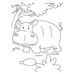 Página para colorir: hipopótamo (animais) #8738 - Páginas para Colorir Imprimíveis Gratuitamente