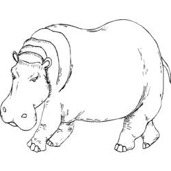 Página para colorir: hipopótamo (animais) #8745 - Páginas para Colorir Imprimíveis Gratuitamente