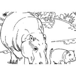 Página para colorir: hipopótamo (animais) #8769 - Páginas para Colorir Imprimíveis Gratuitamente